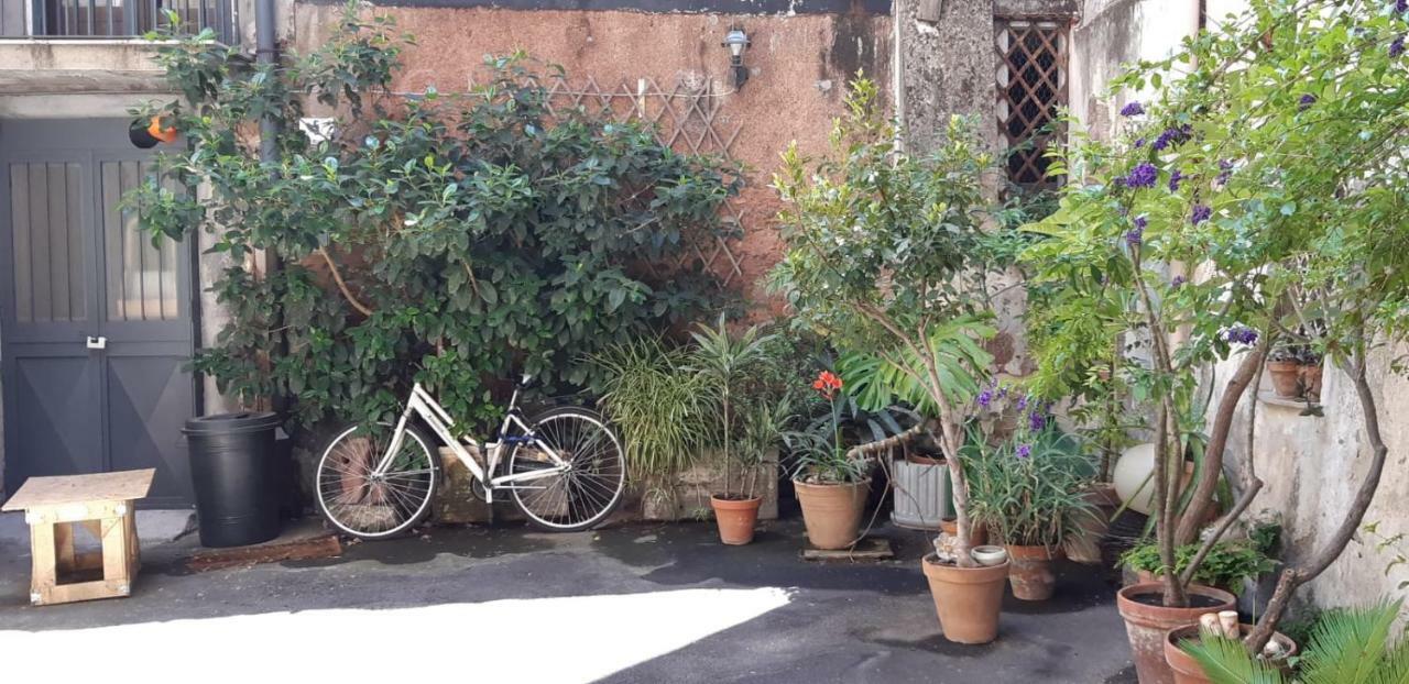 Sant'anna House: Nel Cuore Della Antica! * CTA